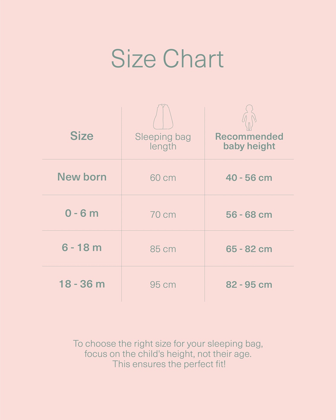 Vodič za veličine molis&co