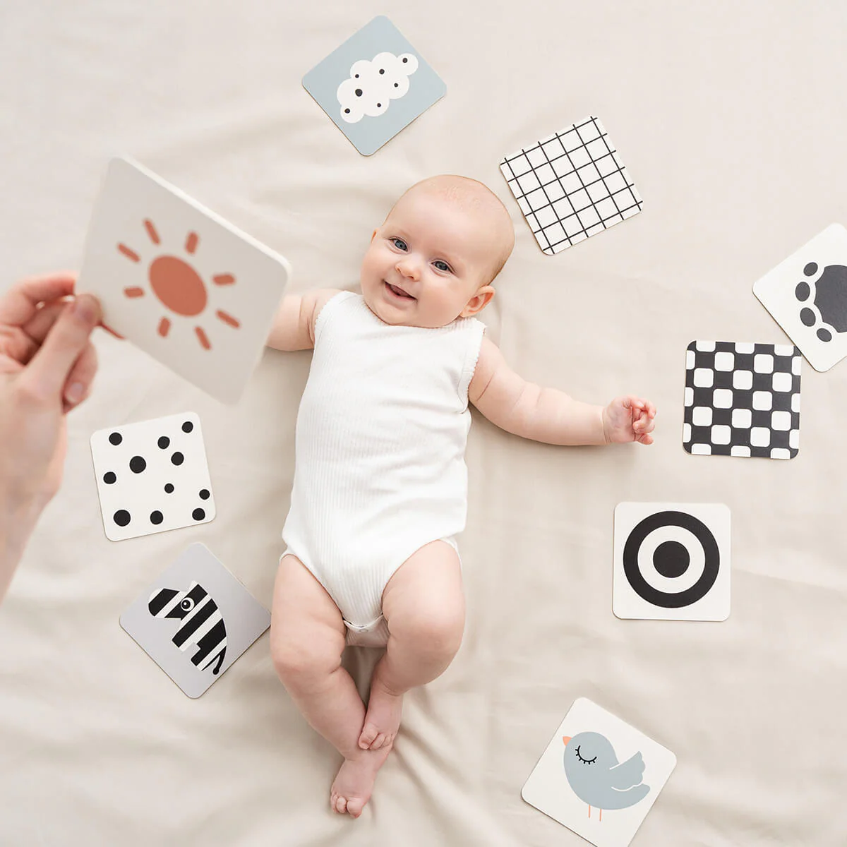 Done by deer kontrastne kartice Elphee - Slika 2